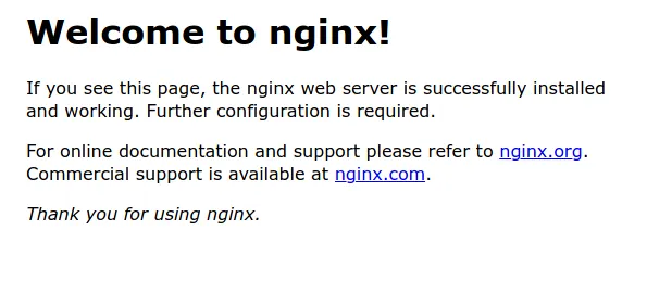 nginx splash page